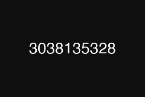 3038135328
