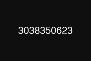 3038350623